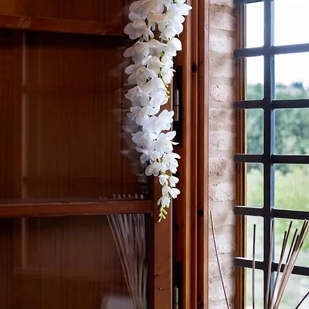 Poggio Alla Staffa - Exclusive Retreat Poderi Foci